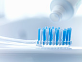Close up of toothbrush and toothpaste