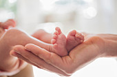 Mother cradling newborn baby's feet