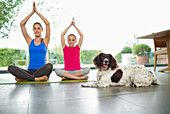 Dog sitting with women practicing yoga