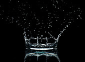 Splashing water droplet