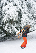 Boy carrying wooden sled in snow