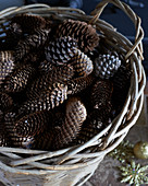 Close up of basket of pine cones