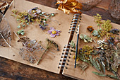 Dried flowers and herbs on notebook