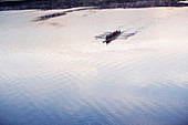 Rowing crew rowing scull on lake