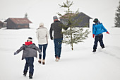 Family carrying fresh Christmas tree