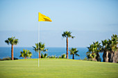 Flag in hole overlooking ocean