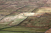 Pastures in rural landscape