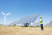 Worker examining solar panels