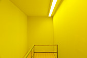 Banister in yellow room