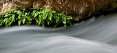 Long exposure of rushing water