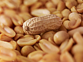 Extreme close up of peanuts