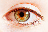 Extreme close up of hazel eye