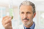 Scientist examining green liquid in tube