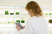 Scientist using tablet in laboratory