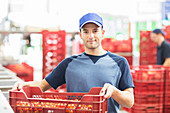 Worker holding crate of tomatoes
