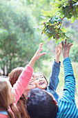 Teacher and students reaching for leaves
