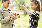 Children examining plants outdoors