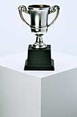 Trophy sitting on pedestal