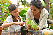 Woman and girl potting plants in garden