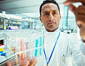 Scientist examining samples in test tubes