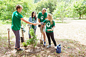 Environmentalist volunteers planting