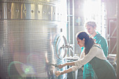 Vintners barrel tasting white wine from stainless steel vat