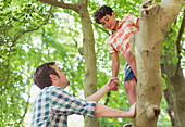 Father helping son climbing tree