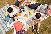 Family enjoying summer picnic