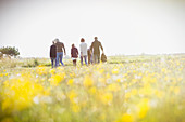 Family walking in meadow with wildflowers