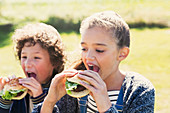 Brother and sister eating hamburgers