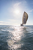 Sailboat on sunny ocean