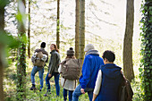 Friends hiking in woods