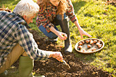 Couple gardening digging planting bulbs