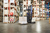 Worker operating forklift moving pallet of boxes