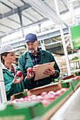 Manager and worker examining red apples