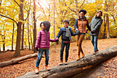 Young family holding hands walking on log in woods