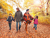 Young family holding hands and walking in woods