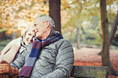 Affectionate senior couple on bench in autumn park