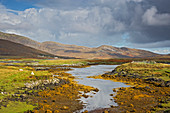 Landscape and stream, Hebrides, Scotland
