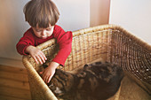 Boy petting cat in basket