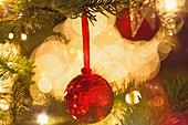 Ornament on branch of Christmas tree