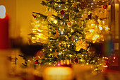 Illuminated Christmas tree with ornaments