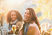Portrait young women friends drinking beer