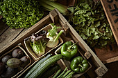 Fresh vegetable variety in wood crate