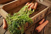 Fresh carrots with stems in wood crate