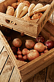 Fresh root vegetables in wooden crates