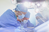 Focused surgeons performing surgery