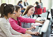 Girl students studying together at computer