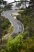 Cyclists cycling downhill on road