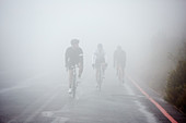 Dedicated cyclists cycling on rainy, foggy road